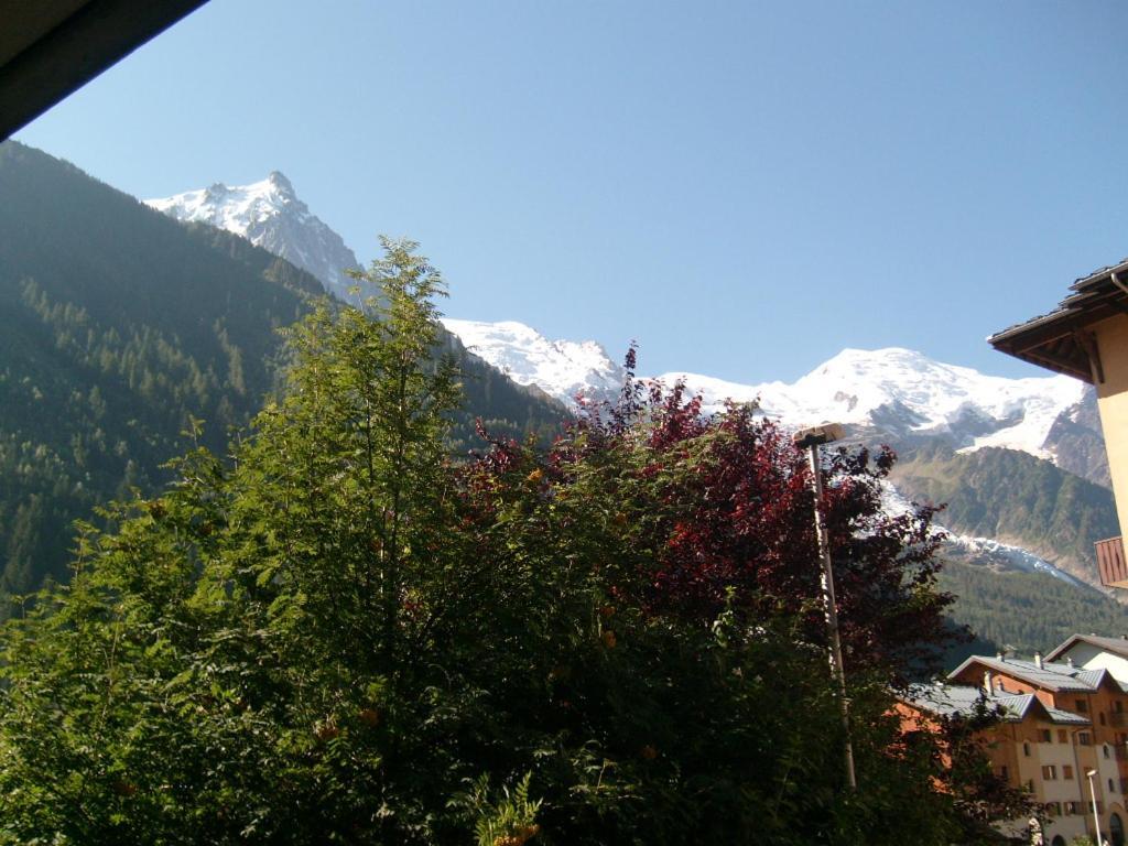 Appartement T2 Chamonix Centre Balcon Vue Mont Blanc ภายนอก รูปภาพ