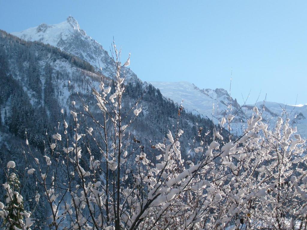 Appartement T2 Chamonix Centre Balcon Vue Mont Blanc ภายนอก รูปภาพ